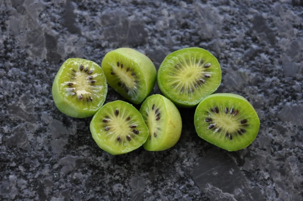 Mini kiwi (aktinidia)